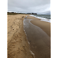 First Landing Beach- GNMS image